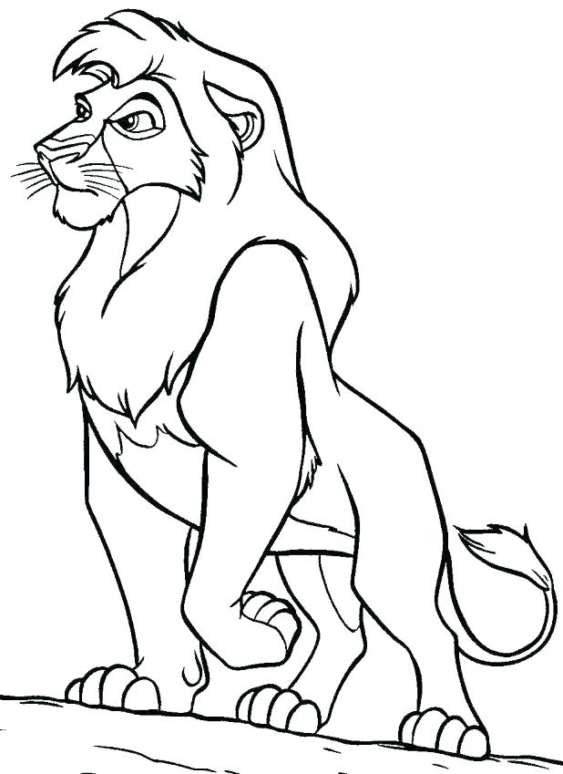 618x849 Lion Picture To Color Mountain Lion Coloring Pages Full Size