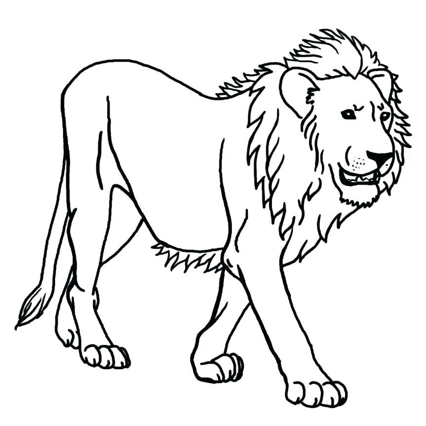 863x863 Lion Coloring Pages To Print Lion Color Sheet Coloring Pages Top