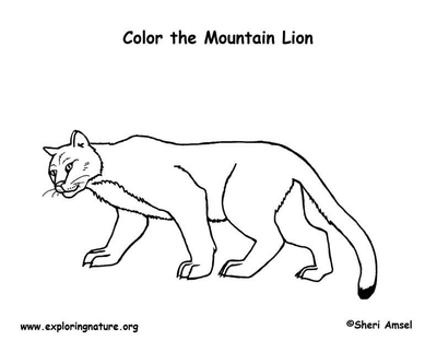 400x322 Mountain Lion Coloring Page Image Clipart Images