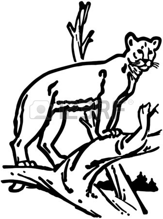 336x450 Mountain Lion Royalty Free Cliparts, Vectors, And Stock