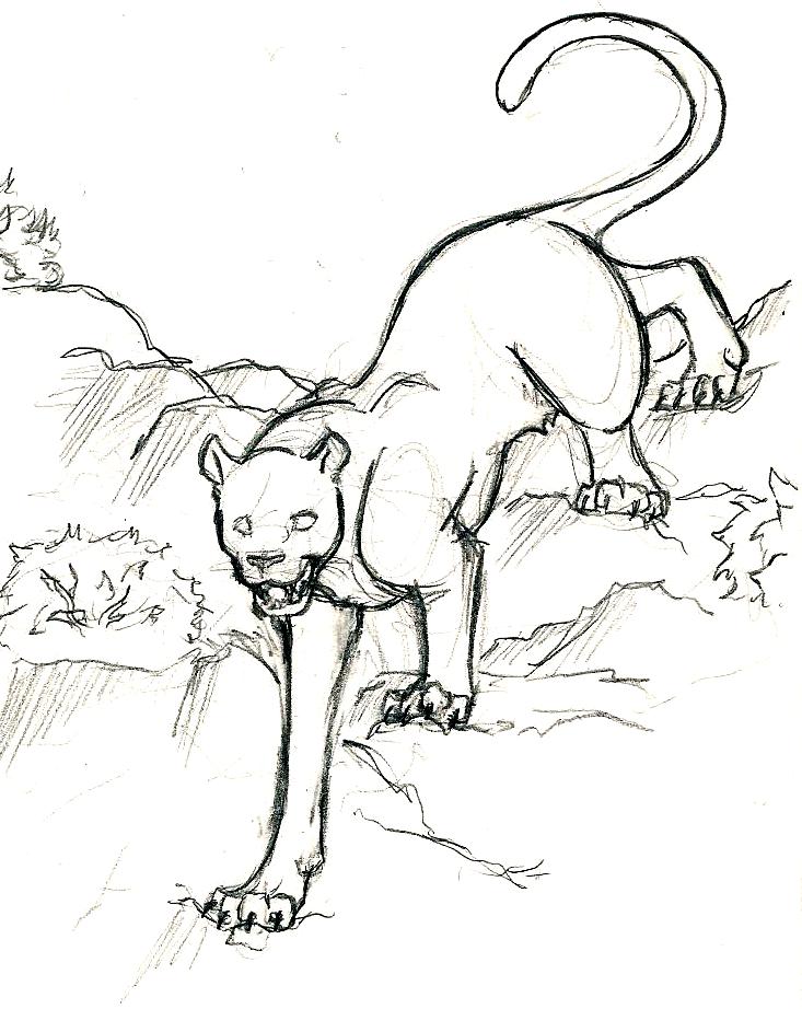 733x922 Mountain Lion By Dragonwolfstar