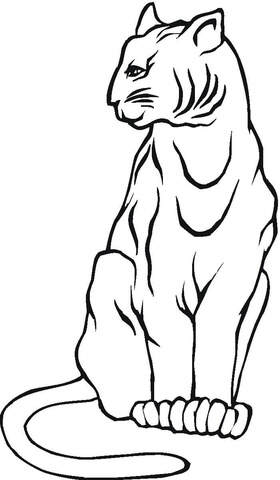 280x480 Mountain Lion Coloring Page Free Printable Coloring Pages