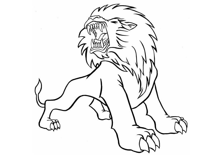 875x620 Picture Of A Lion To Color 378720