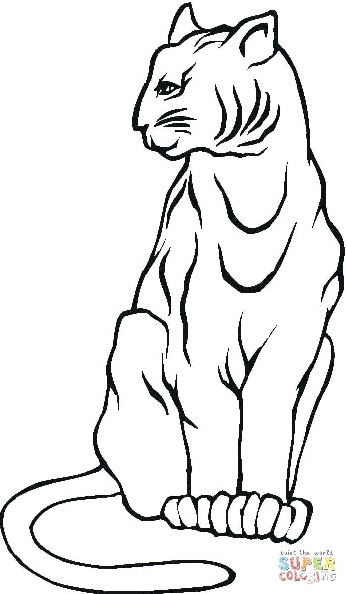 701x1200 Coloring Mountain Lion Coloring Pages To Print Out Colouring