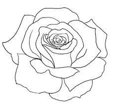 230x219 Pictures Rose Picture Out Line Drawing,