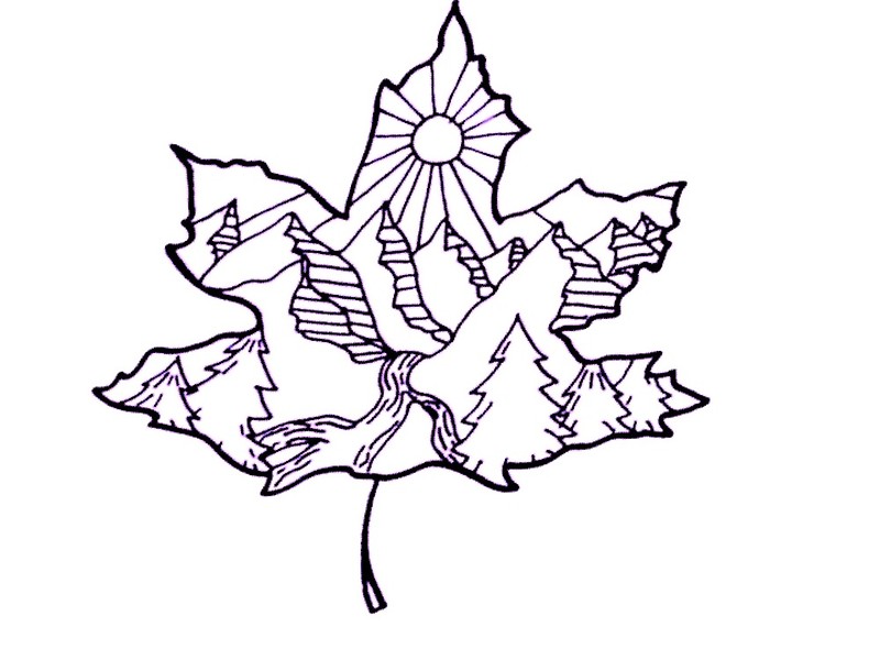 800x600 Maple Leaf Mountain Scene Canvas Prints By Airbosshansen Redbubble