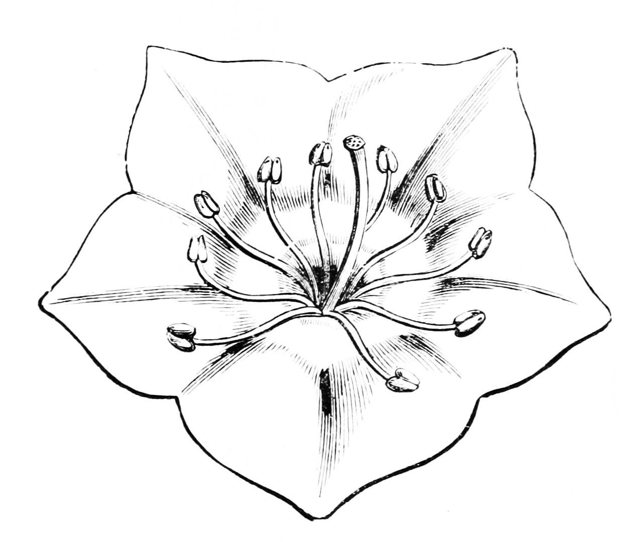 1265x1080 19 Images Of Drawn Mountain Template