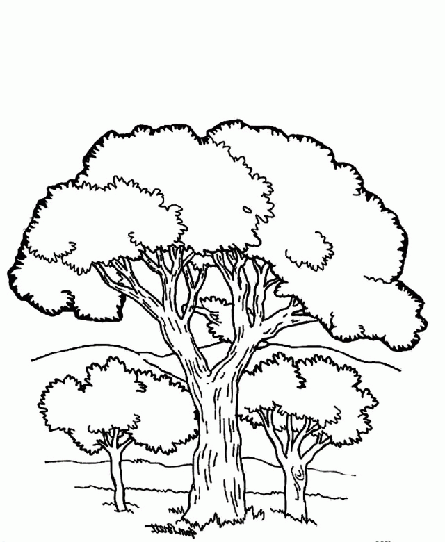 640x780 Coloring Pages Of Mountains Many Interesting Cliparts