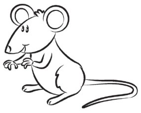 285x228 How To Draw A Mouse Howstuffworks