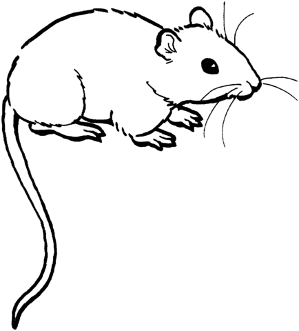 434x480 Mouse 1 Coloring Page Free Printable Coloring Pages