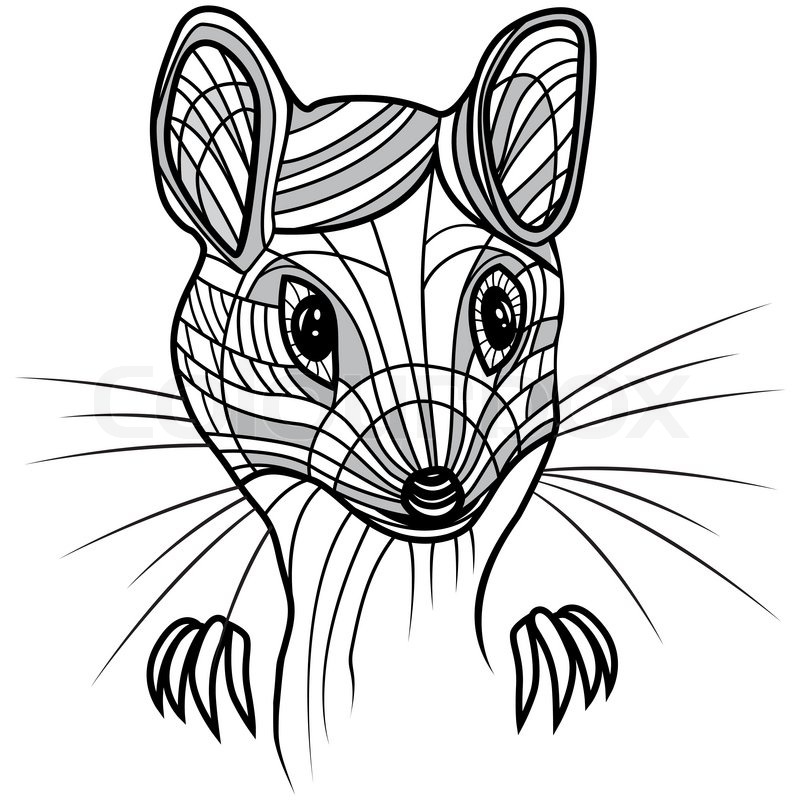 800x800 Rat Or Mouse Head Vector Animal Illustration For T Shirt. Sketch
