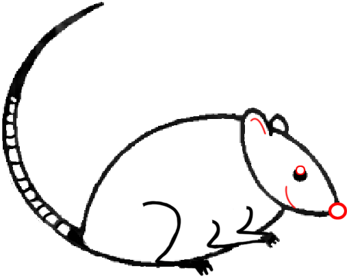 510x408 Big Guide To Drawing Cartoon Mice With Basic Shapes For Kids