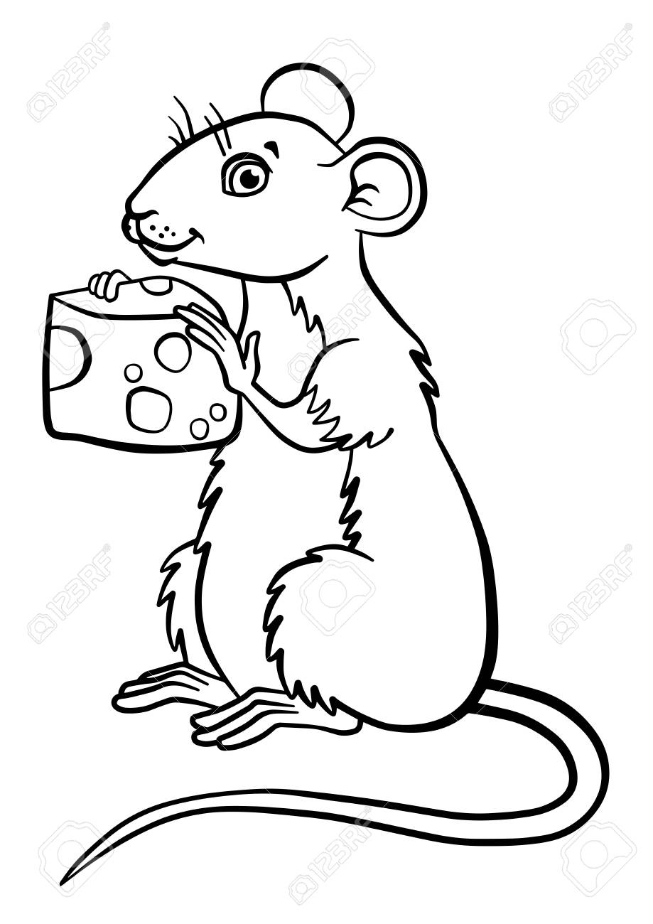 919x1300 Coloring Pages. Animals. Little Cute Mouse Holds Cheese In