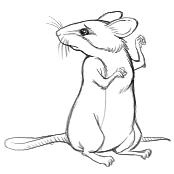 691x691 Kwan Kwest Lionnd The Mouse Process