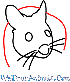 300x350 How To Draw A Wood Mouse