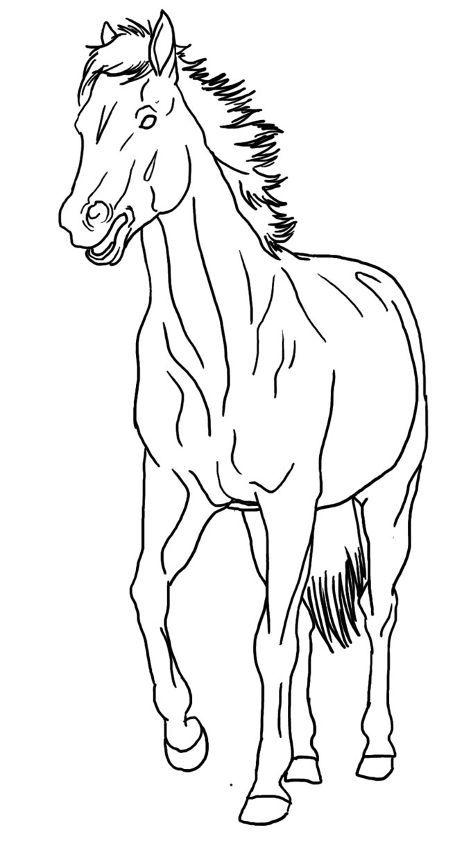656x1216 Horse With Mouth Open Lineart Public Domain By Allicorn