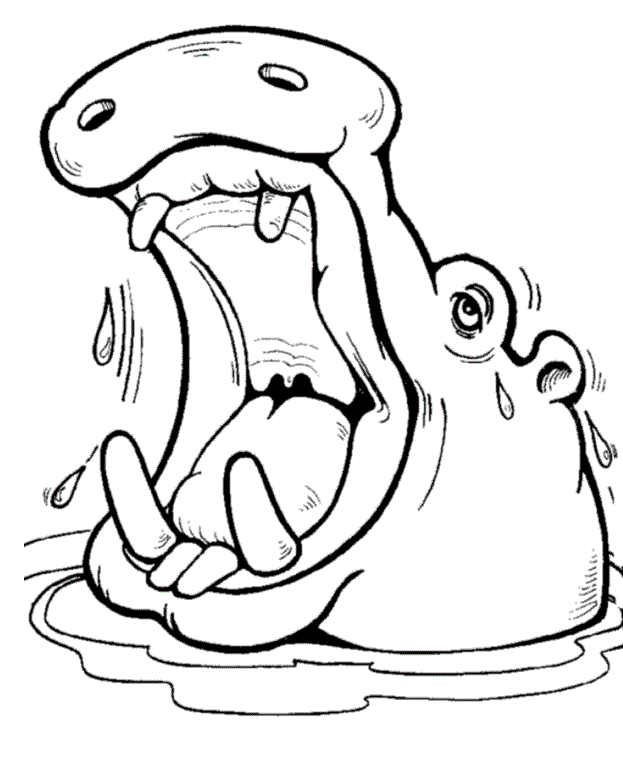 623x757 22 Images Of Open Mouth Hippo Printable Template