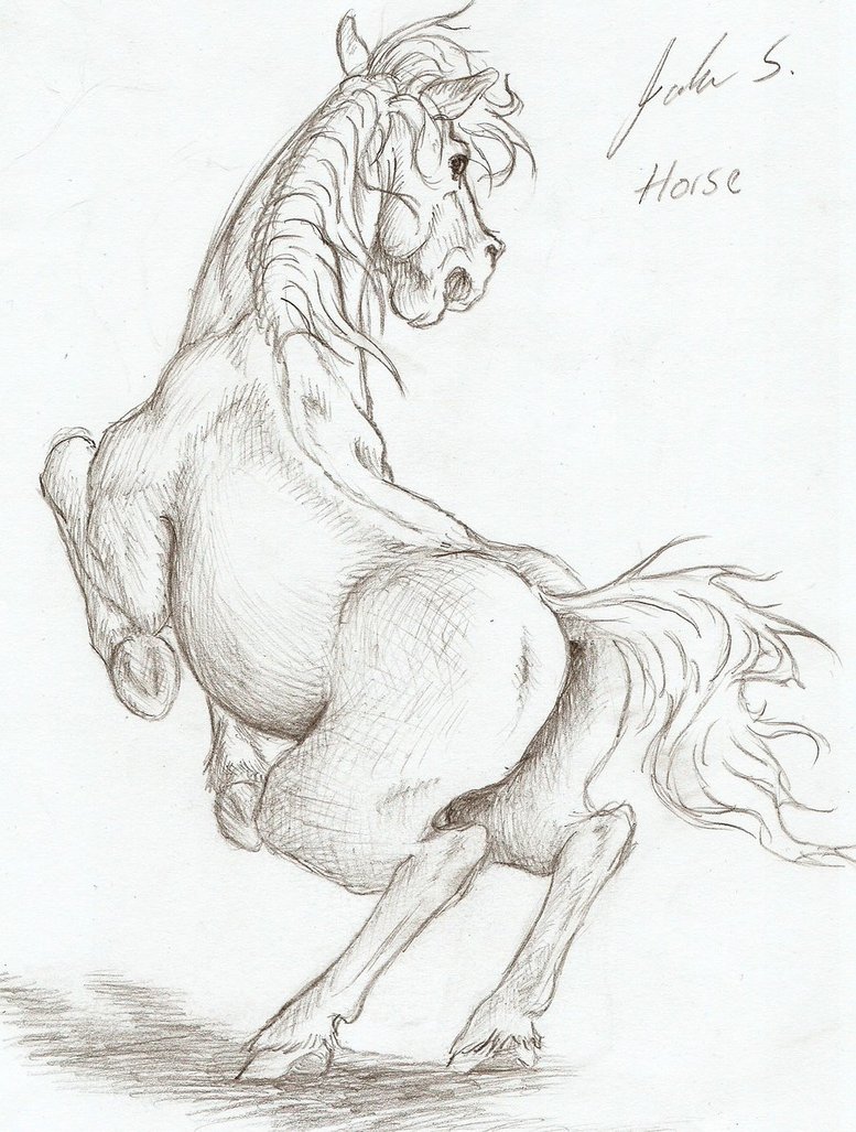 777x1027 Horse