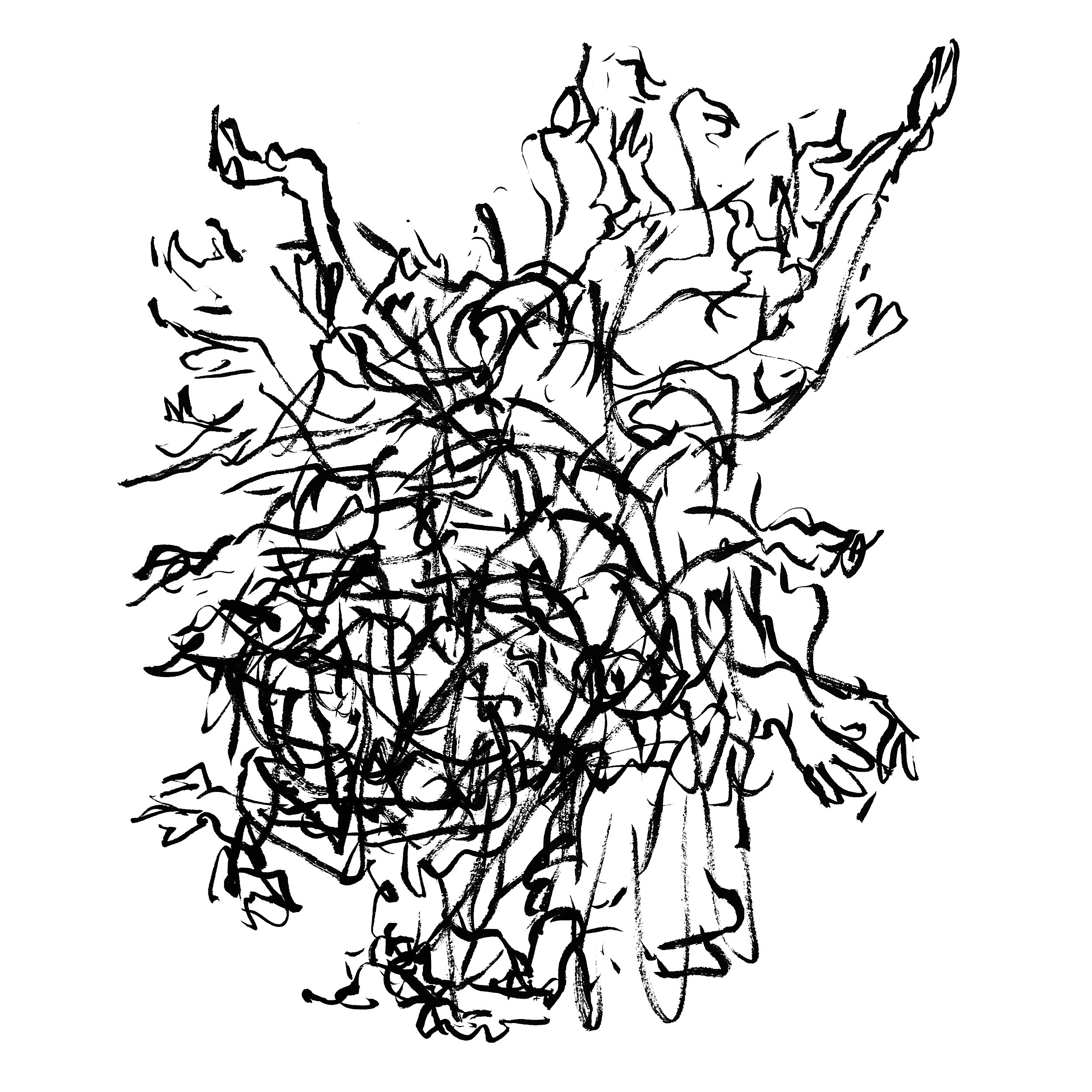 2500x2500 Movement Chris Fraser On Line