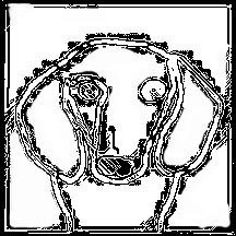 216x216 How To Draw A Dachshund