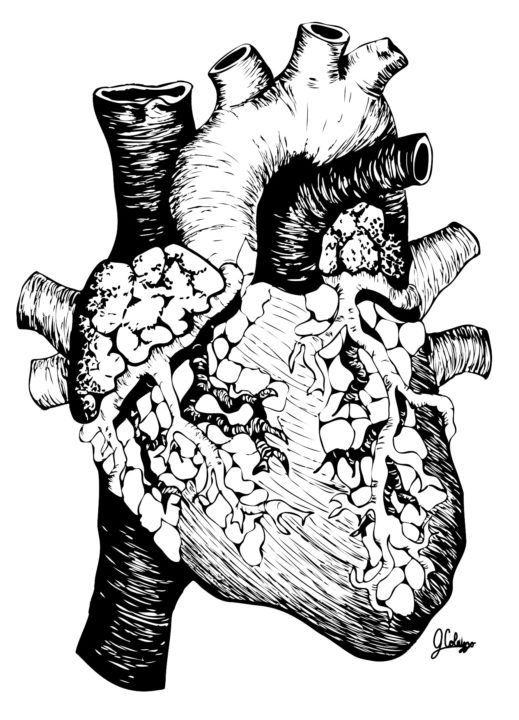 519x720 Gina Colaizzo Bs, Rn, Bsn, Msn, Pnp Bc Pediatric Nurse