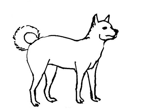 579x451 Dog Coloring Pages