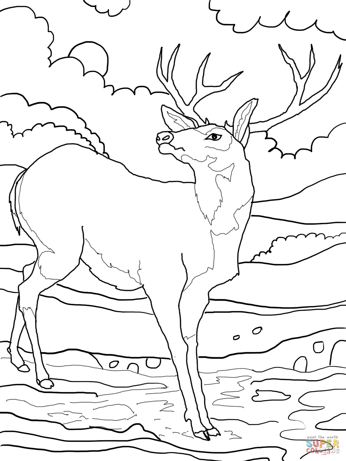 1200x1600 Deer Printable Pictures Supercoloring. Color Pages