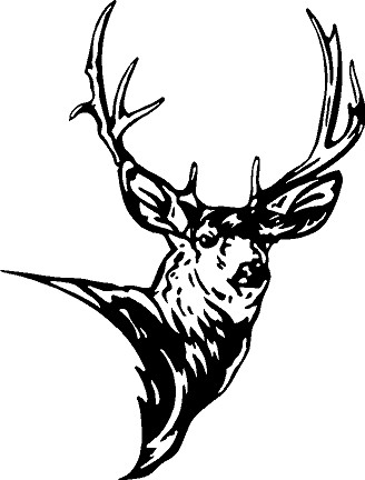 328x432 Mule Deer Head Decal 2