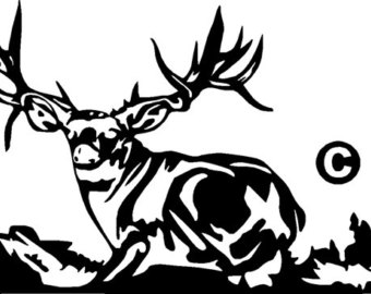 340x270 Mule Deer Decal Etsy