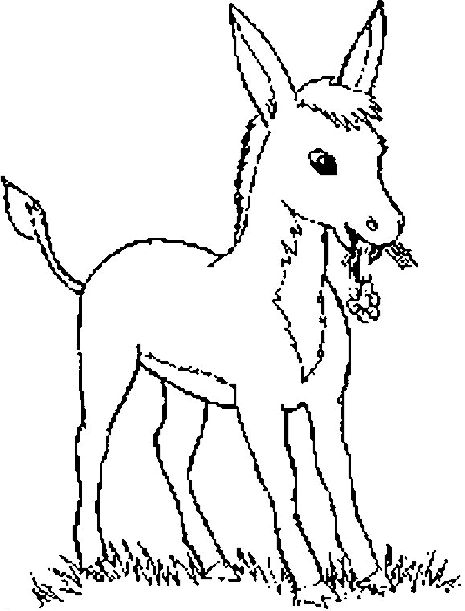 465x611 Mule Coloring Pages Mole Coloring Pages