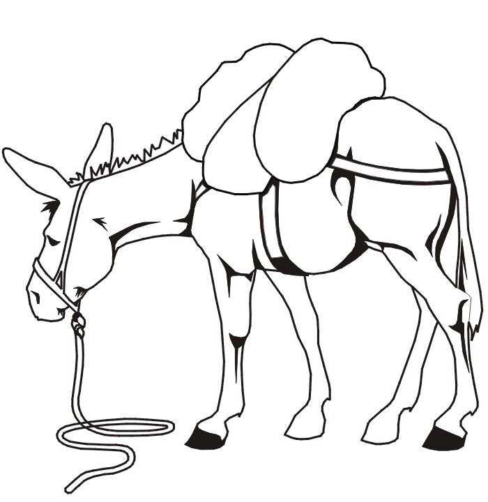 Mule Coloring Drawing Pages Horse Head Mules Arabian Gif Clipart ...
