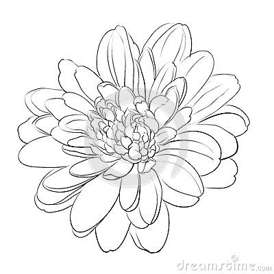 400x400 108 Best Digi Stamps Images On Coloring Books