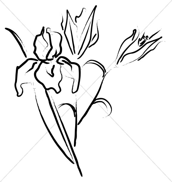 579x612 Mum Placed On Its Side Church Flower Clipart