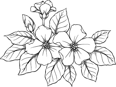 400x298 Beccy's Place Mum's Blossoms