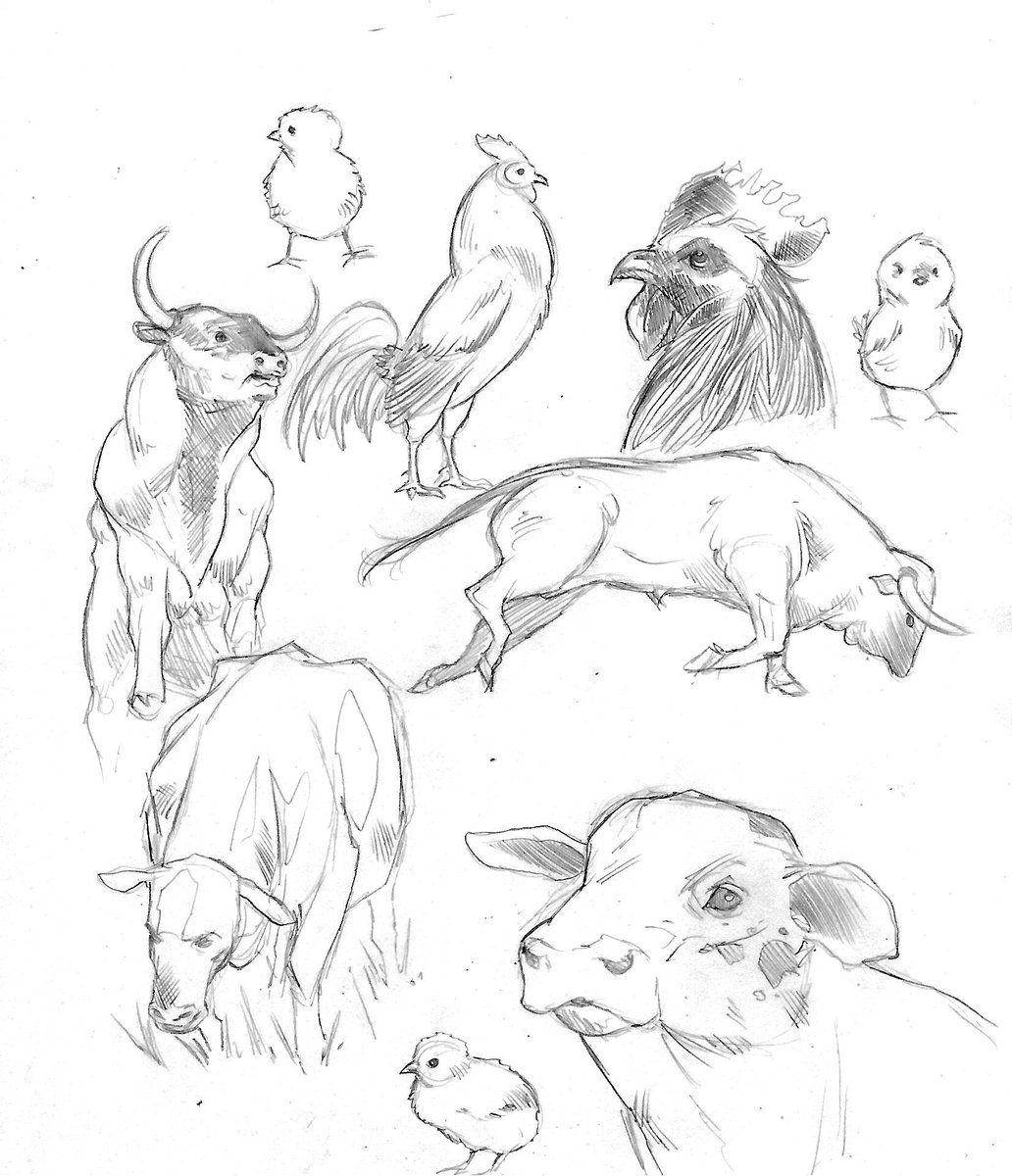 1032x1200 Emiliano Correa On Twitter Animals Sketches, Some Practice