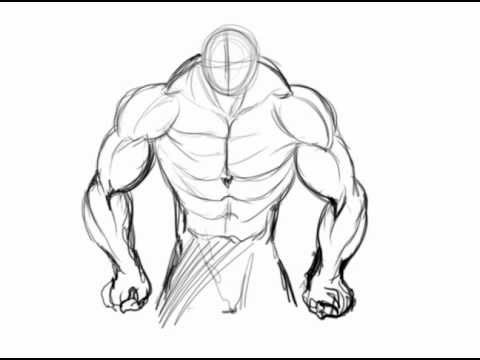 Muscle Drawing at GetDrawings | Free download