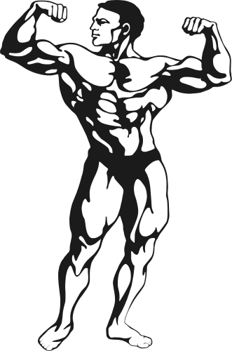 331x500 Fitness Muscle Man