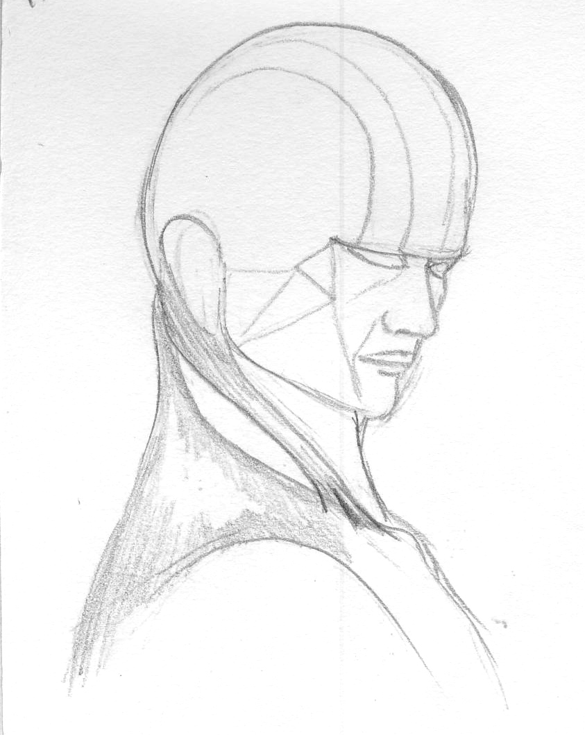 843x1059 Neck Muscles Rachel Carter