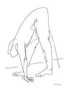 225x300 Muscular Drawings