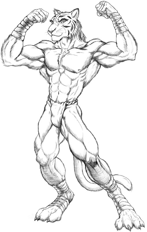 509x800 Muscular Drawing Art