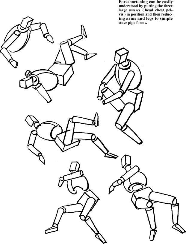 621x817 How To Draw People With Human Anatomy Lessons How To Draw