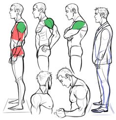 236x244 Drawing Pectoral Muscles With Muscular Men Drawing Tutorials