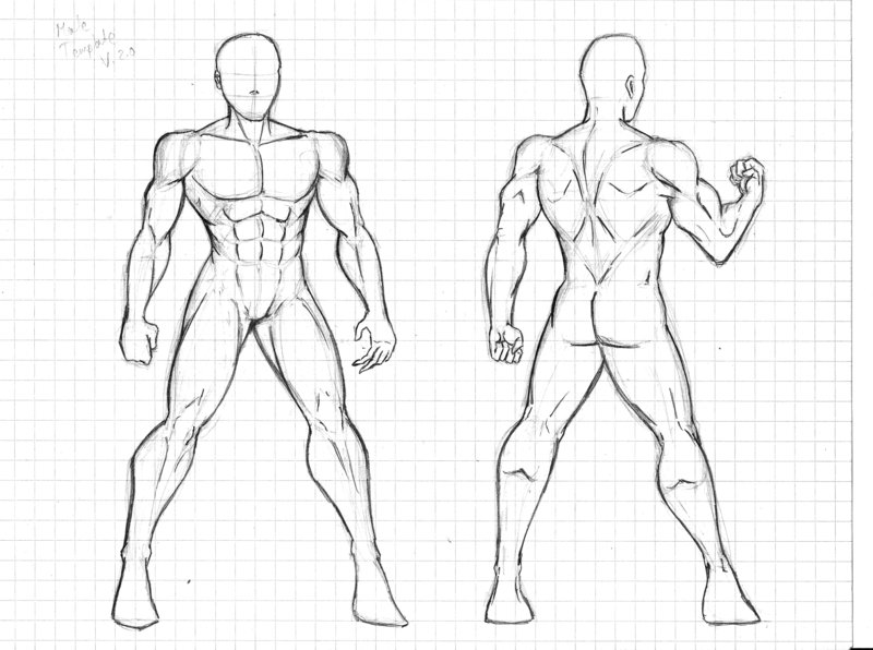 Muscular Men Drawing At Getdrawings Free Download