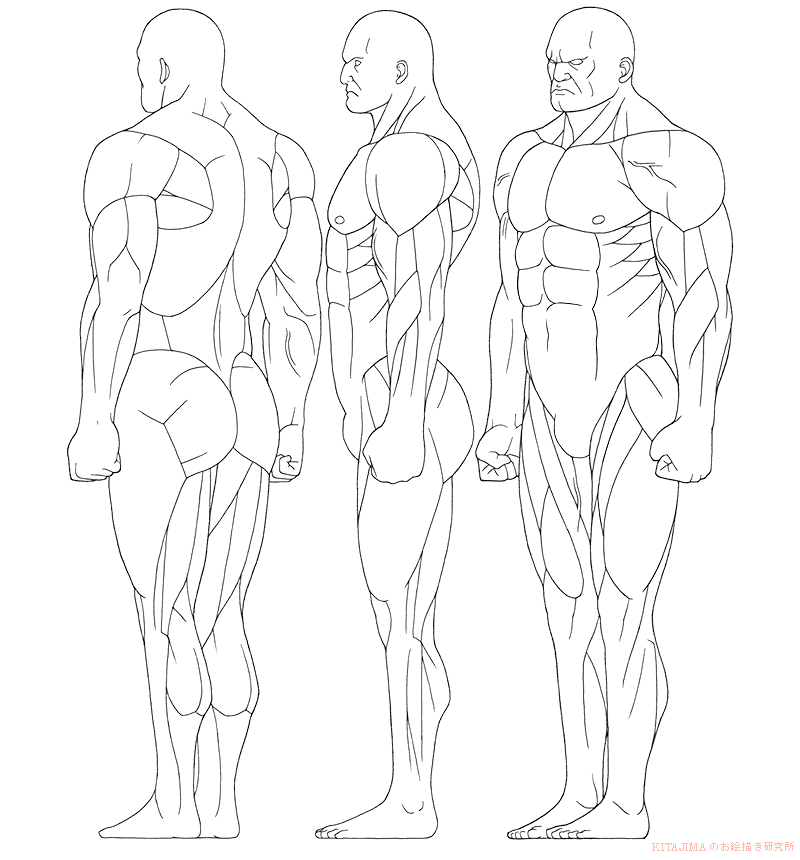 Muscular Men Drawing at GetDrawings | Free download