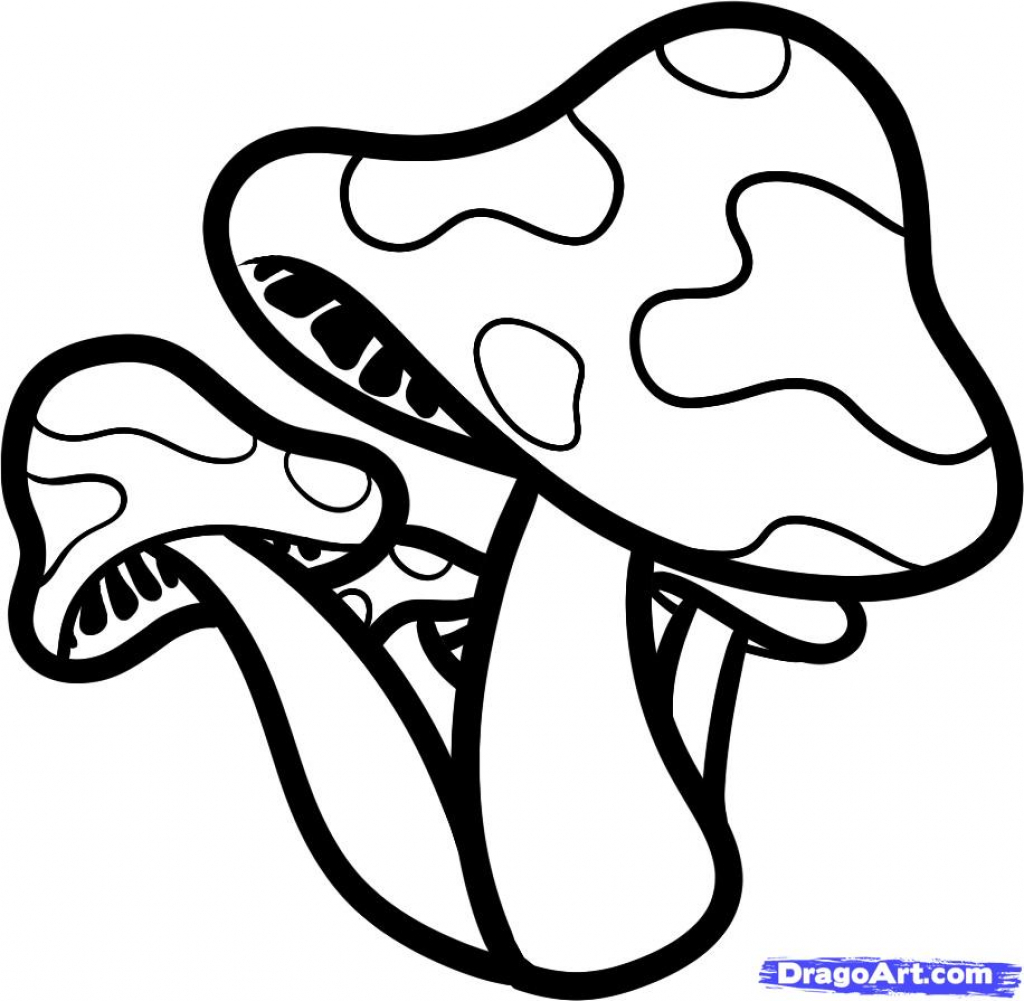 1024x1001 Cartoon Mushroom Drawings 10 Best Images About Coloring Pages