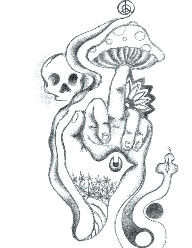 618x798 Trippy Mushroom Coloring Pages Beautiful Coloring Pages Image 1