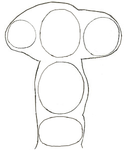 250x298 How To Draw Mushrooms