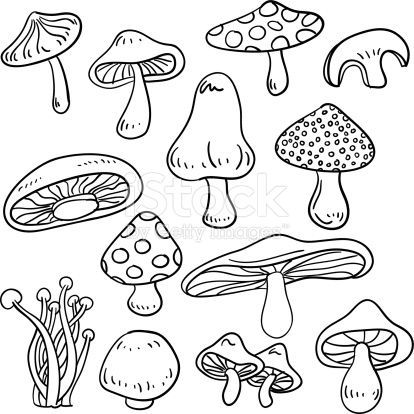 414x414 Line Art Drawing Of Different Kinds Of Mushrooms. Mushrooms