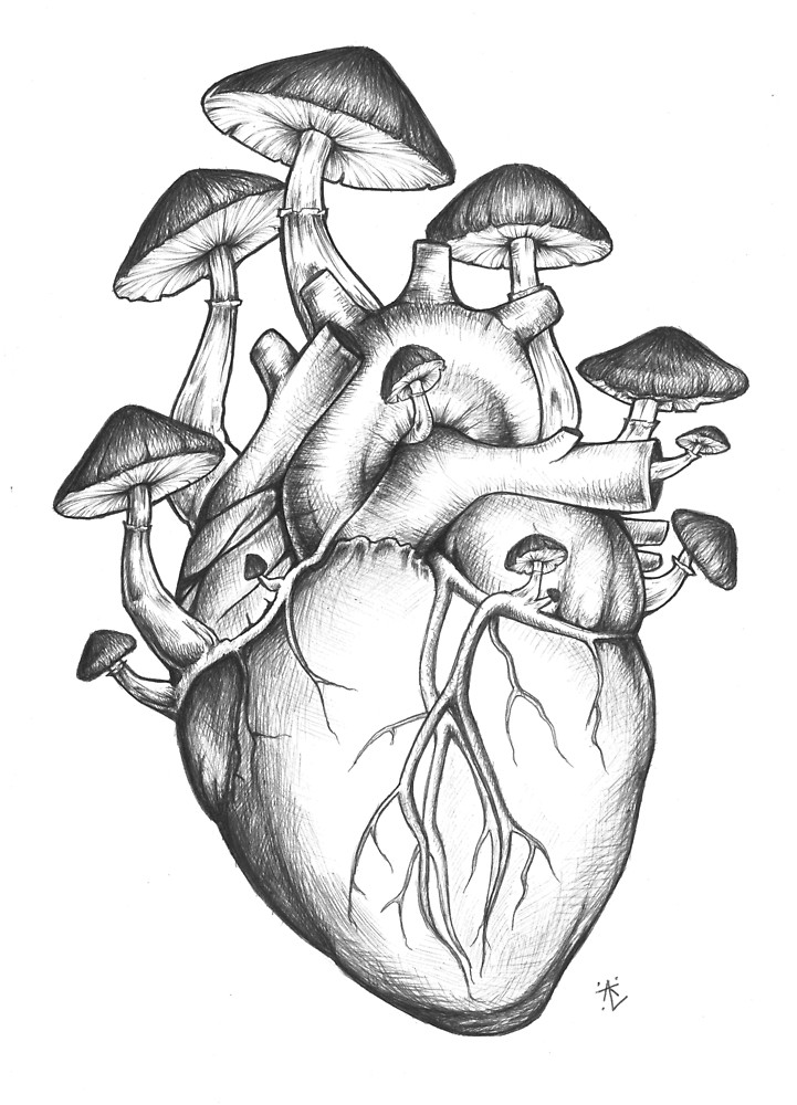 721x1000 Mushroom Heart By Annatenae Redbubble