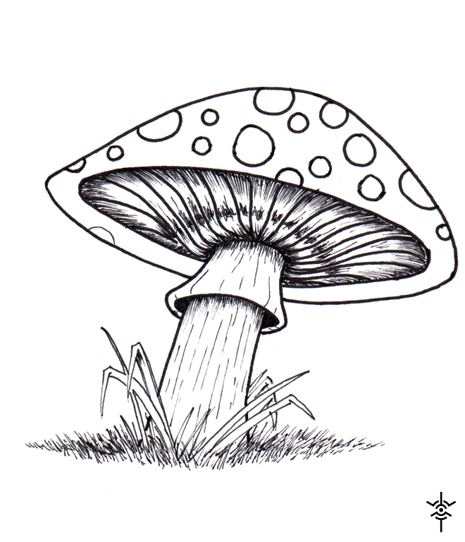 660x768 Mushroom By Fordzany